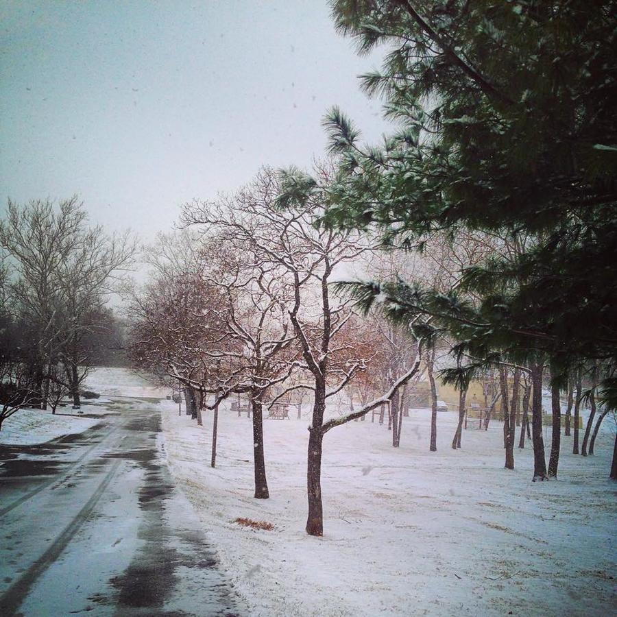 Conference Center Hotel At Valley Forge Oaks Luaran gambar